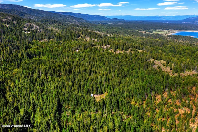 NKA Christmas Ln, Naples, ID 83847