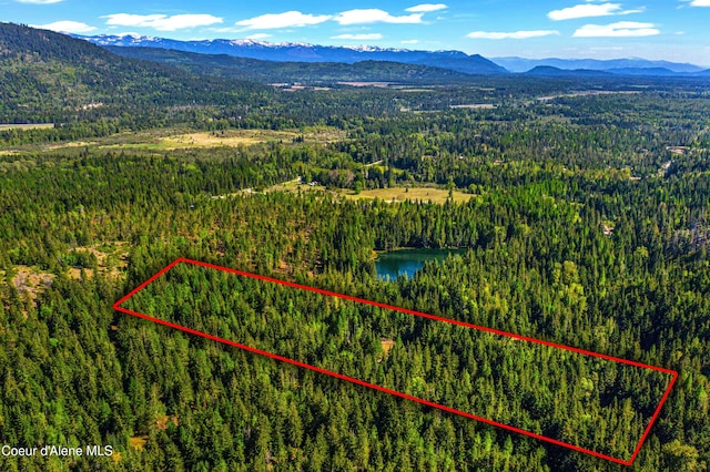 NKA Christmas Ln, Naples, ID 83847