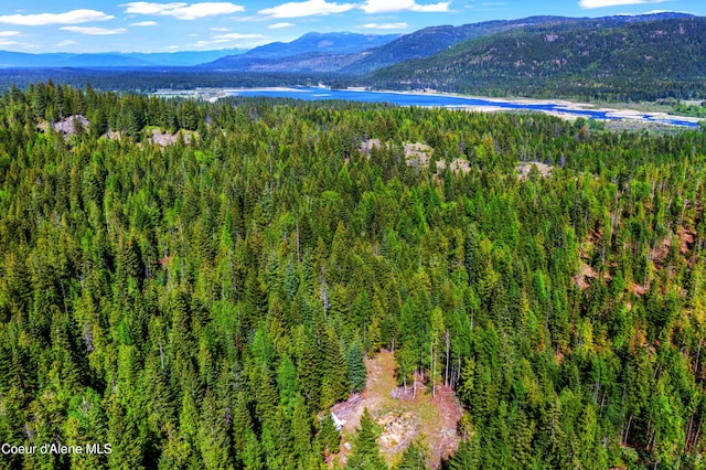 NKA Christmas Ln, Naples, ID 83847