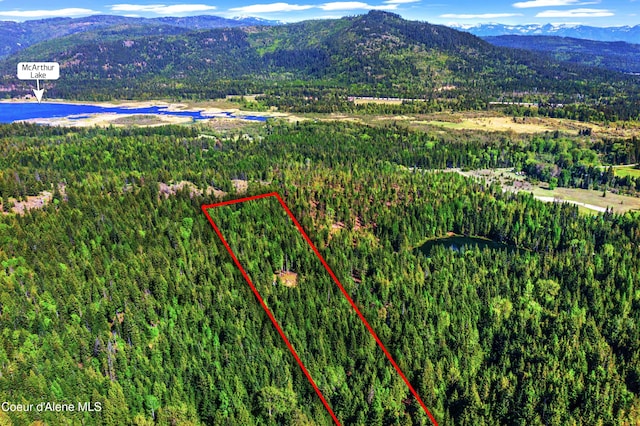 NKA Christmas Ln, Naples, ID 83847