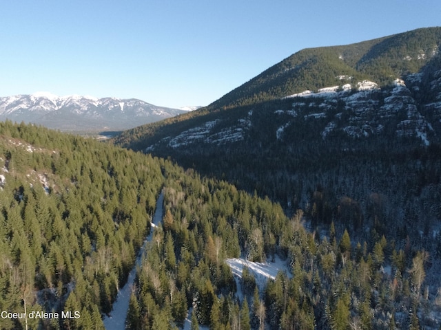 1728 Dry Creek Rd, Clark Fork, ID 83811 - view of mountain backdrop with a forest