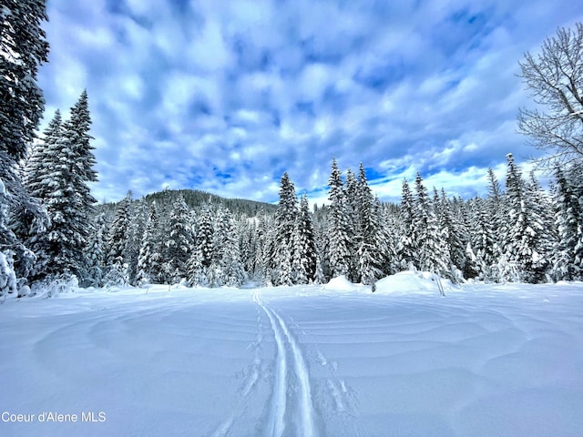 1728 Dry Creek Rd, Clark Fork, ID 83811 - view of mountain background