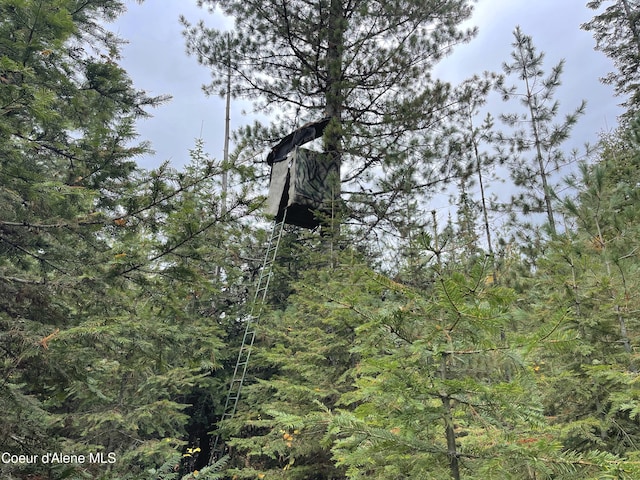 1728 Dry Creek Rd, Clark Fork, ID 83811 - view of wooded area