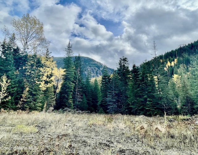 1728 Dry Creek Rd, Clark Fork, ID 83811 - view of mountain backdrop featuring a heavily wooded area