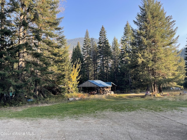 1728 Dry Creek Rd, Clark Fork, ID 83811 - view of yard with a forest view