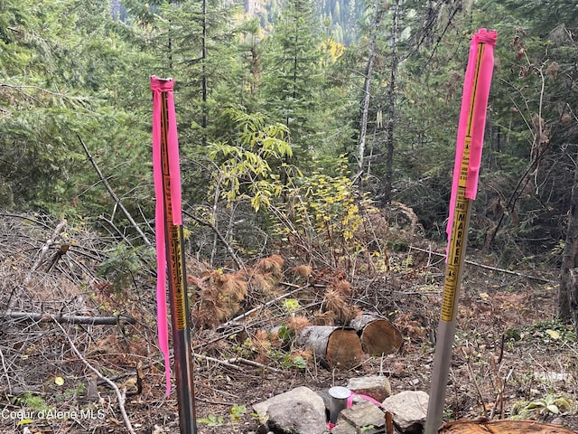 1728 Dry Creek Rd, Clark Fork, ID 83811 - view of wooded area
