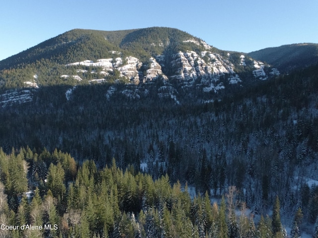 1728 Dry Creek Rd, Clark Fork, ID 83811 - mountain view featuring a heavily wooded area