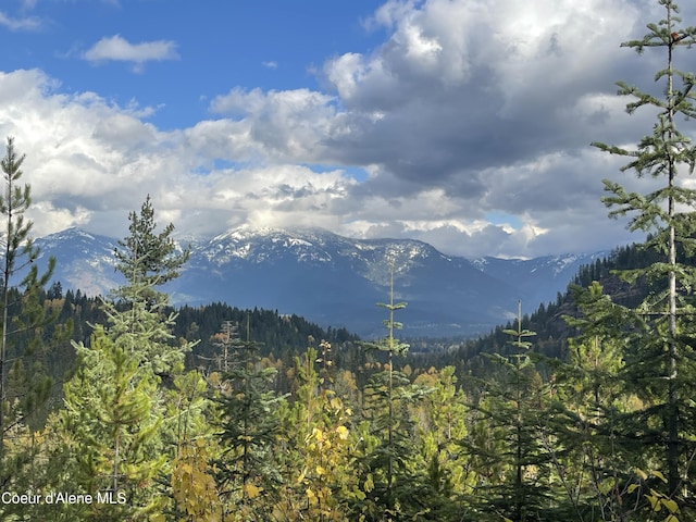 1728 Dry Creek Rd, Clark Fork, ID 83811 - view of mountain backdrop featuring a forest