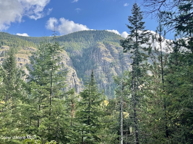 1728 Dry Creek Rd, Clark Fork, ID 83811 - view of mountain backdrop featuring a heavily wooded area