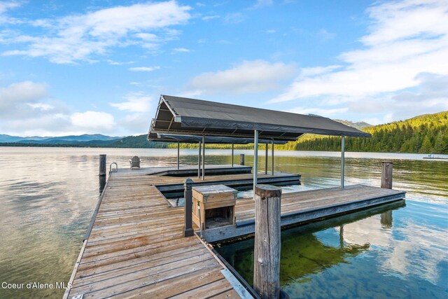 286 E Canoe Point Rd, Coolin, ID 83821 - photo 60