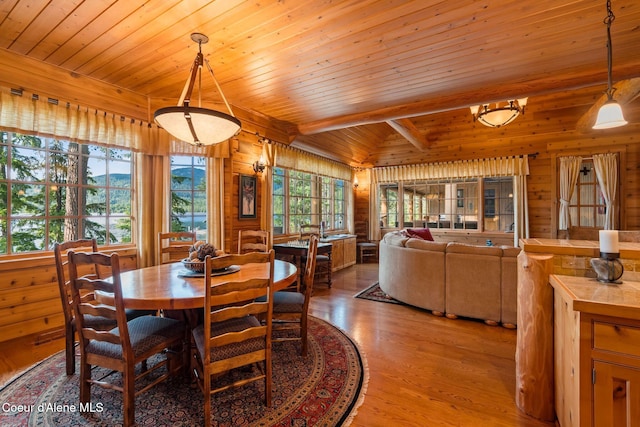 286 E Canoe Point Rd, Coolin, ID 83821 - photo 76