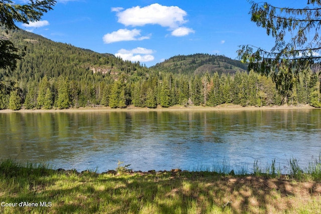 521 River Lake Dr, Clark Fork, ID 83811