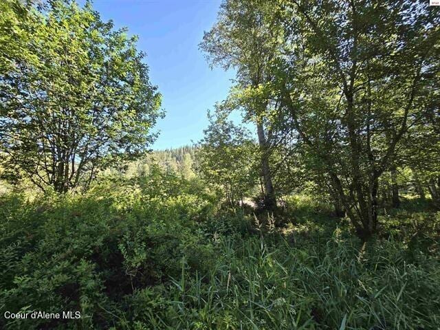 NNA Upper Pack River, Sandpoint, ID 83864