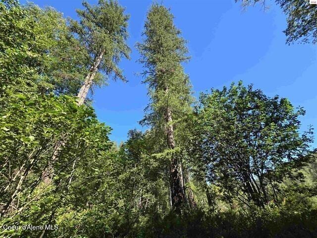 NNA Upper Pack River, Sandpoint, ID 83864