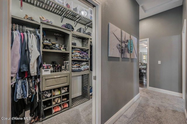 9147 N Entiate Dr, Hayden, ID 83835 - spacious closet with carpet flooring