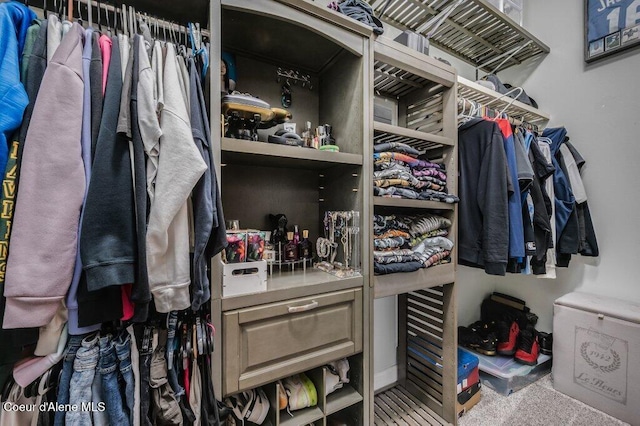 9147 N Entiate Dr, Hayden, ID 83835 - view of spacious closet