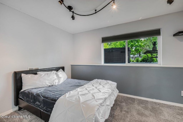 9147 N Entiate Dr, Hayden, ID 83835 - bedroom with multiple windows, carpet floors, and track lighting