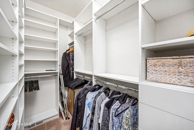 1044 E Maroon Creek Dr, Hayden, ID 83835 - walk in closet with carpet floors