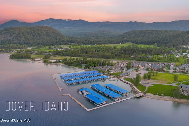 199 Pomrankey Ln, Dover, ID 83825 - aerial view at dusk of a water and mountain view and a wooded view