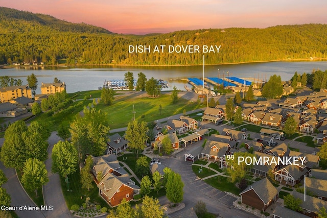 199 Pomrankey Ln, Dover, ID 83825 - aerial view of residential area featuring a heavily wooded area and a large body of water