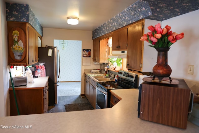 8705 N Ramsey Rd, Hayden, ID 83835 - kitchen featuring appliances with stainless steel finishes, under cabinet range hood, a sink, and light countertops