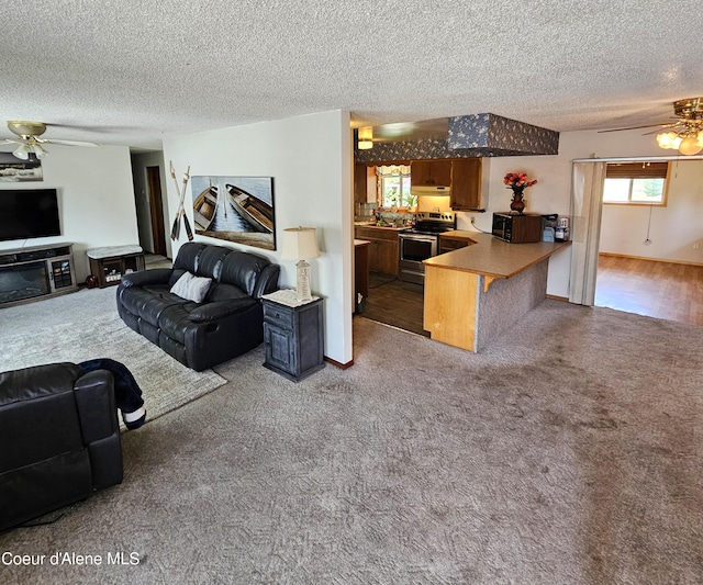 8705 N Ramsey Rd, Hayden, ID 83835 - carpeted living area featuring a ceiling fan and a textured ceiling