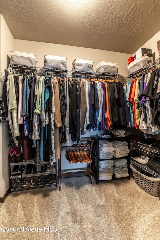 14441 N Pristine Cir, Rathdrum, ID 83858 - walk in closet with carpet flooring