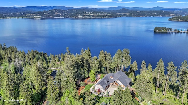 4618 S Scenic Dr, Coeur Dalene, ID 83814 - view of subject property featuring a water and mountain view and a heavily wooded area