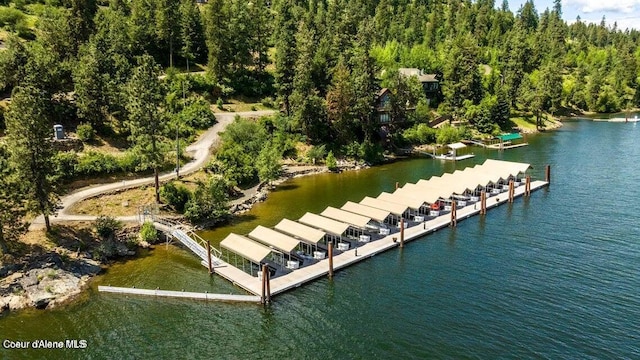 4618 S Scenic Dr, Coeur Dalene, ID 83814 - bird's eye view of a large body of water