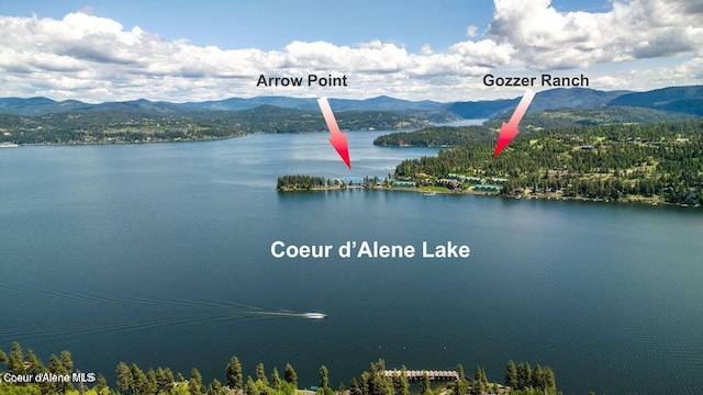 4618 S Scenic Dr, Coeur Dalene, ID 83814 - water view featuring a mountainous background