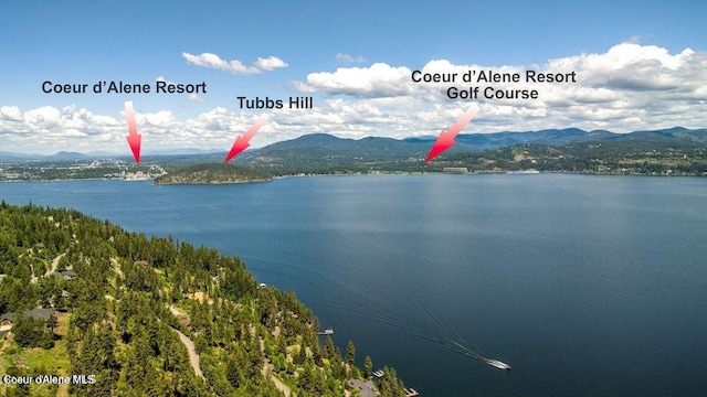 4618 S Scenic Dr, Coeur Dalene, ID 83814 - water view with a mountainous background