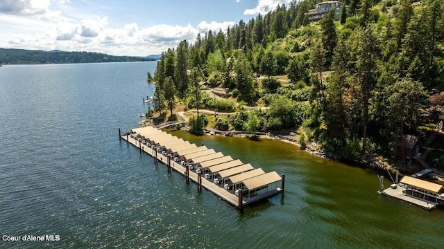 4618 S Scenic Dr, Coeur Dalene, ID 83814 - dock area featuring a water view