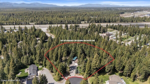 23815 N Rapalla Ct, Athol, ID 83801 - view of property location with a forest, property parcel outlined, and a mountainous background