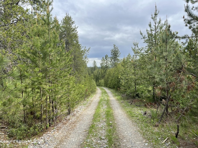 12ACRES Elizabeth Ln, Athol, ID 83801