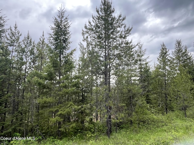 12ACRES Elizabeth Ln, Athol, ID 83801