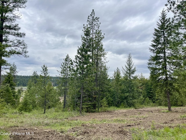 12ACRES Elizabeth Ln, Athol, ID 83801