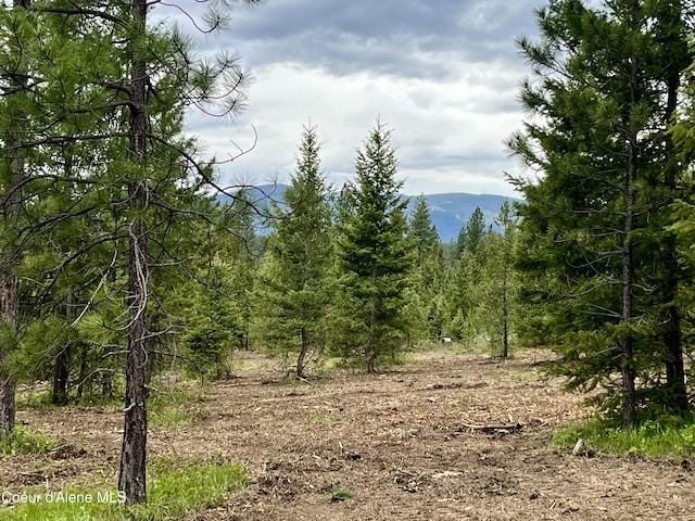 12ACRES Elizabeth Ln, Athol, ID 83801
