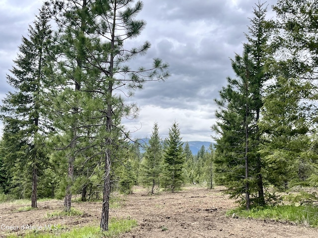 12ACRES Elizabeth Ln, Athol, ID 83801