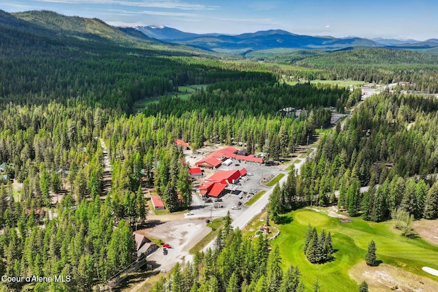 225 Fairway Dr, Priest Lake, ID 83856 - bird's eye view of a heavily wooded area and a mountainous background