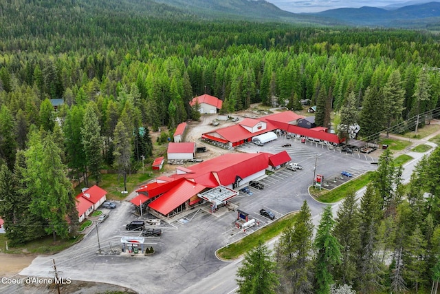 225 Fairway Dr, Priest Lake, ID 83856 - bird's eye view of a forest and a mountainous background