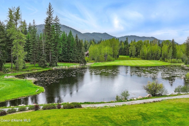 225 Fairway Dr, Priest Lake, ID 83856 - water view featuring mountains and a heavily wooded area