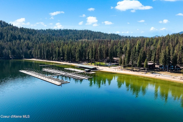 225 Fairway Dr, Priest Lake, ID 83856 - water view featuring a heavily wooded area and a dock