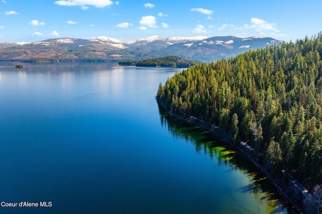 225 Fairway Dr, Priest Lake, ID 83856 - water view with a mountain backdrop and a heavily wooded area