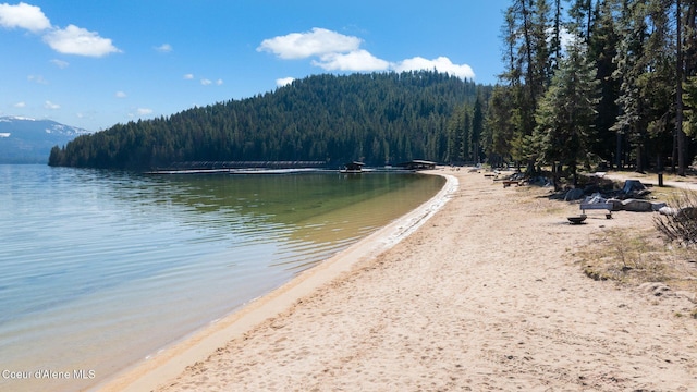 225 Fairway Dr, Priest Lake, ID 83856 - water view with a forest and mountains