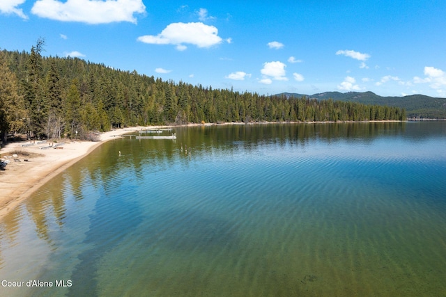 225 Fairway Dr, Priest Lake, ID 83856 - water view featuring a forest and a mountain backdrop
