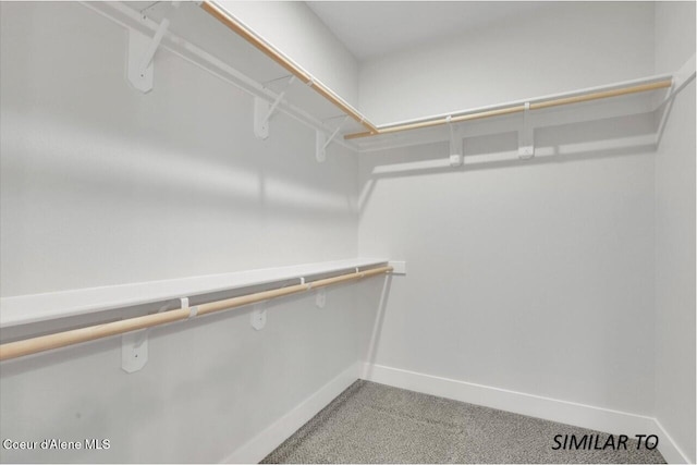 1109 N Country Club Dr Unit 22, Deer Park, WA 99006 - spacious closet with light colored carpet