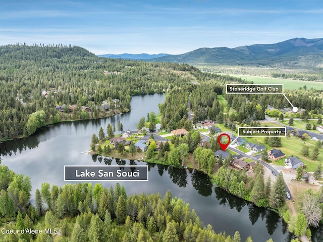 396 Hanaford Rd, Blanchard, ID 83804 - drone / aerial view of a forest and a water and mountain view