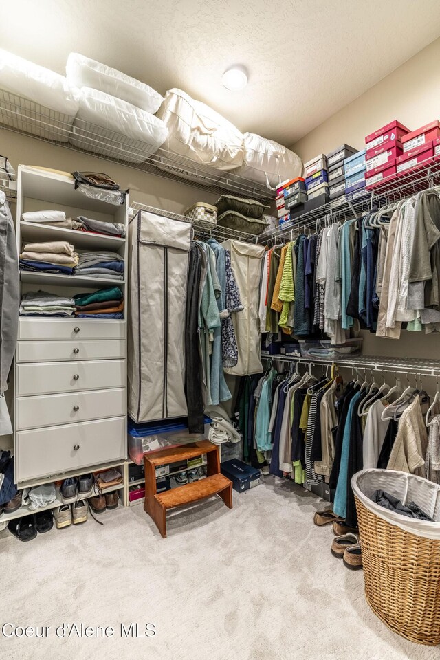 396 Hanaford Rd, Blanchard, ID 83804 - walk in closet with carpet flooring