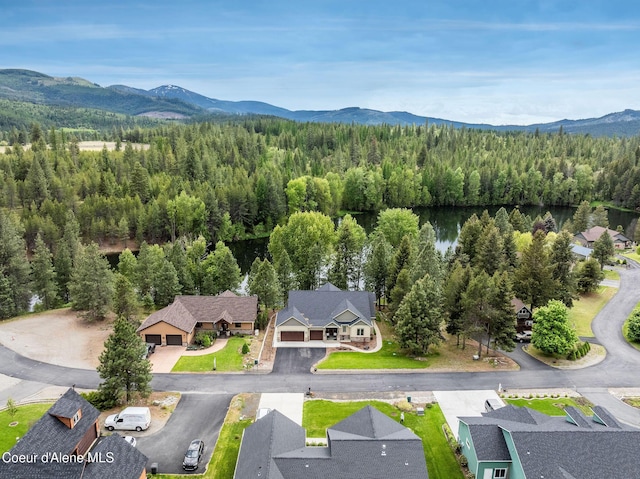 396 Hanaford Rd, Blanchard, ID 83804 - bird's eye view of a heavily wooded area and mountains