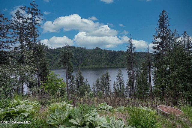 LOT22NKA Fernan Ter, Coeur Dalene, ID 83814